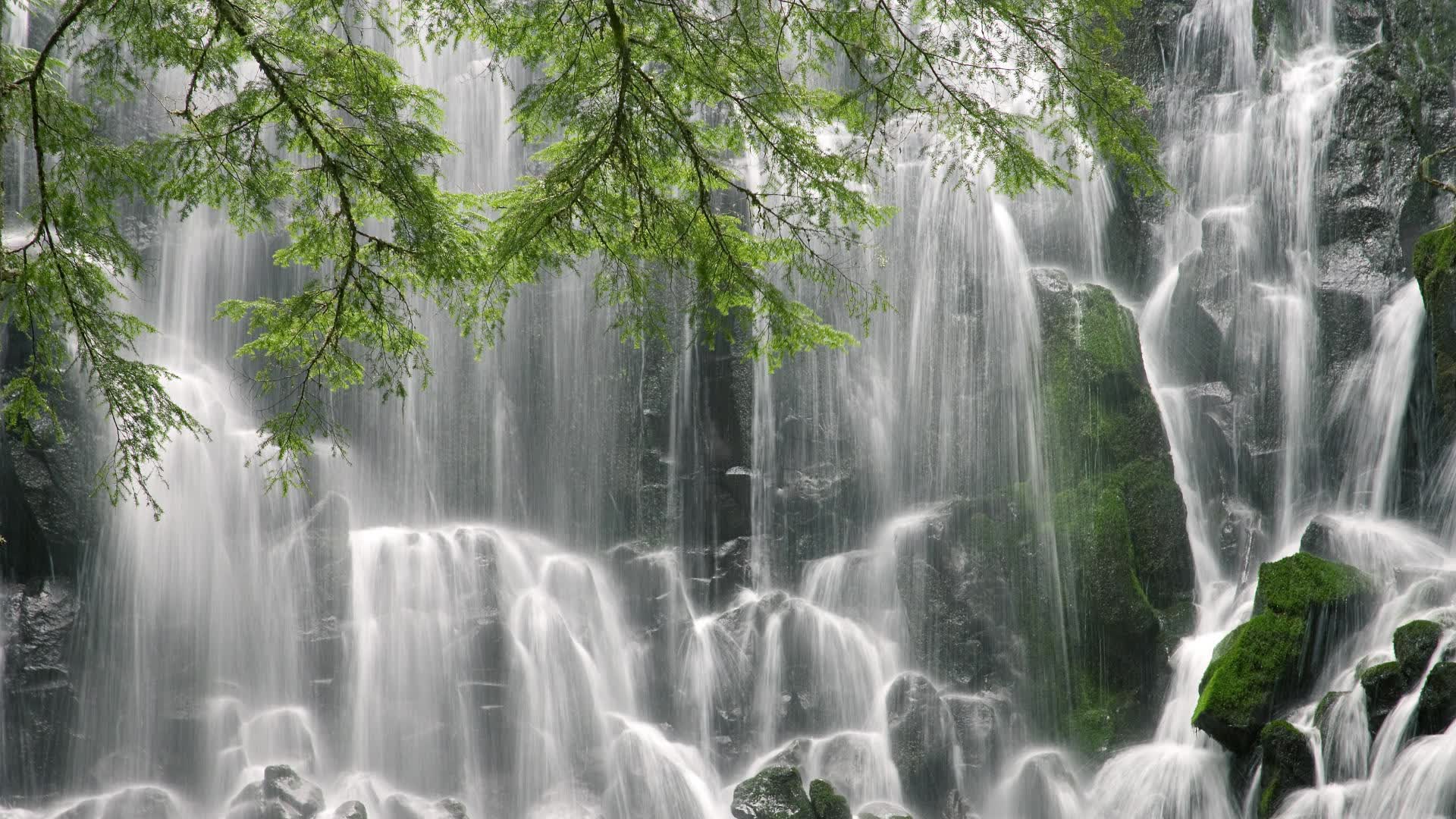 苹果怎么有线传输（苹果有线导数据）