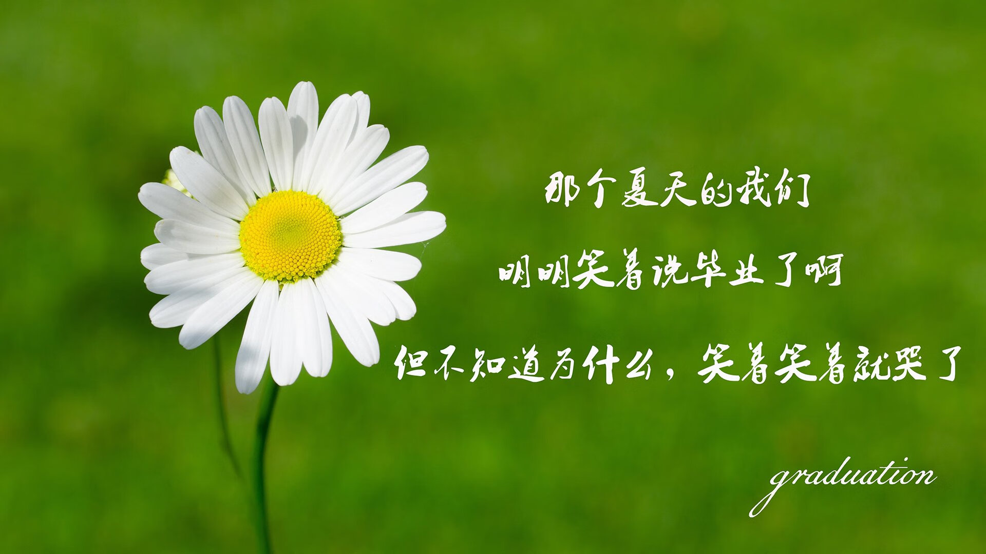网络通信工作内容有哪些（网络通信主要包括哪些）